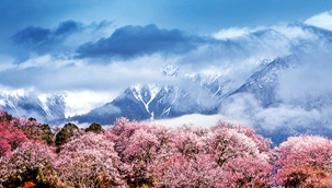 林芝：雪域“桃花源”的生態(tài)富民畫(huà)卷